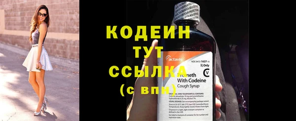 индика Нефтегорск