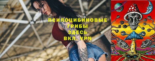 ПСИЛОЦИБИНОВЫЕ ГРИБЫ Балахна