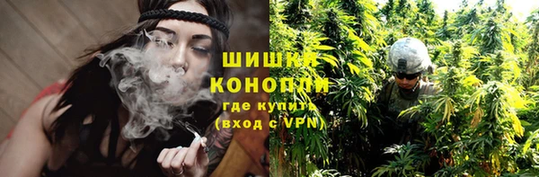 ПСИЛОЦИБИНОВЫЕ ГРИБЫ Балахна