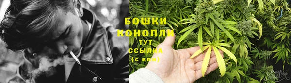 ПСИЛОЦИБИНОВЫЕ ГРИБЫ Балахна